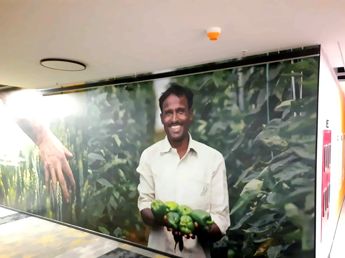 Large-format photographic wall print: Printed Wallpaper