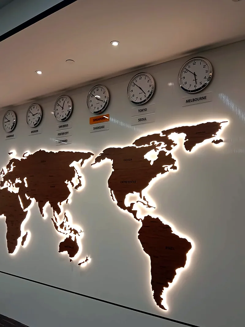 Backlit world-map wall: LED Signage